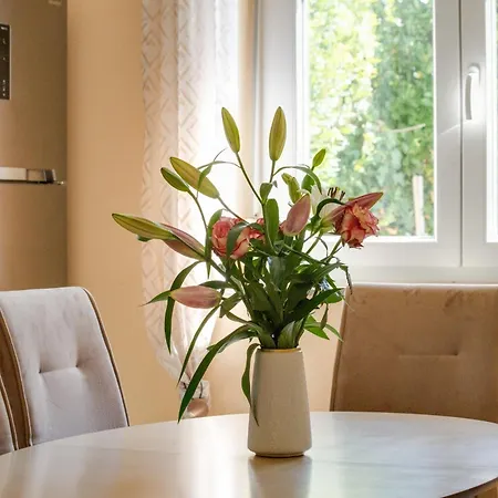 Apartment Markos